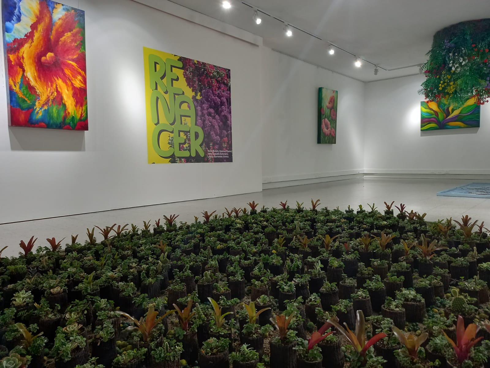 exposición de la feria de las flores 2021