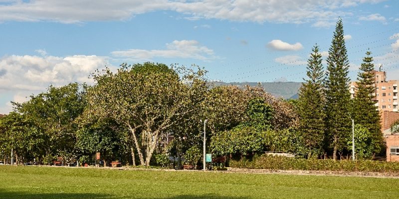 CAMPUS VIVO (91)_copy_600x400