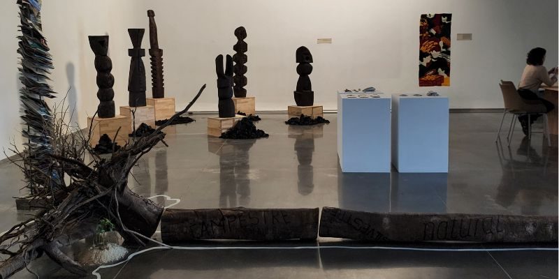 Diseño Raíces Universidad de Medellín