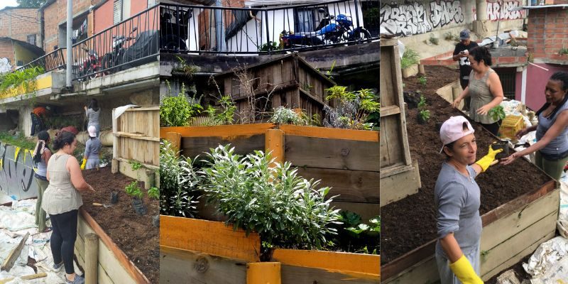 Huertas urbanas Universidad de Medellín