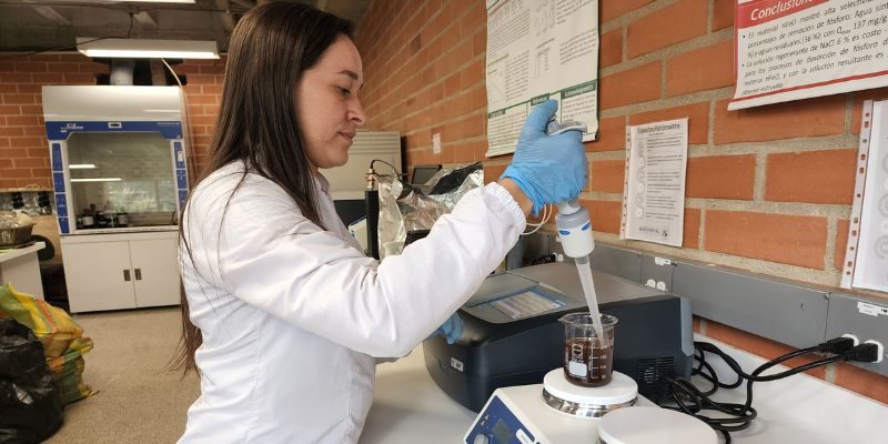 Diseño sin título (13)