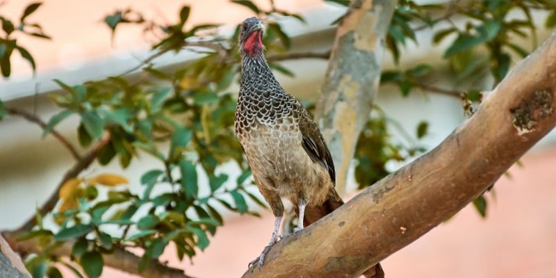 sostenibilidad Universidad de Medellín