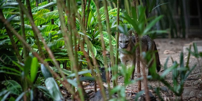 Diseño sin título - 2022-11-11T115639.807