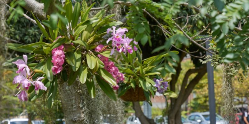 Diseño sin título - 2022-11-17T164033.713