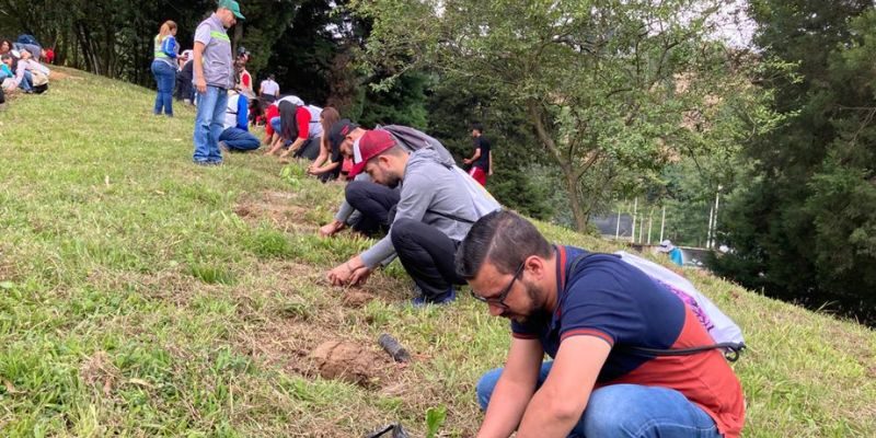 Diseño sin título - 2022-11-18T153851.334