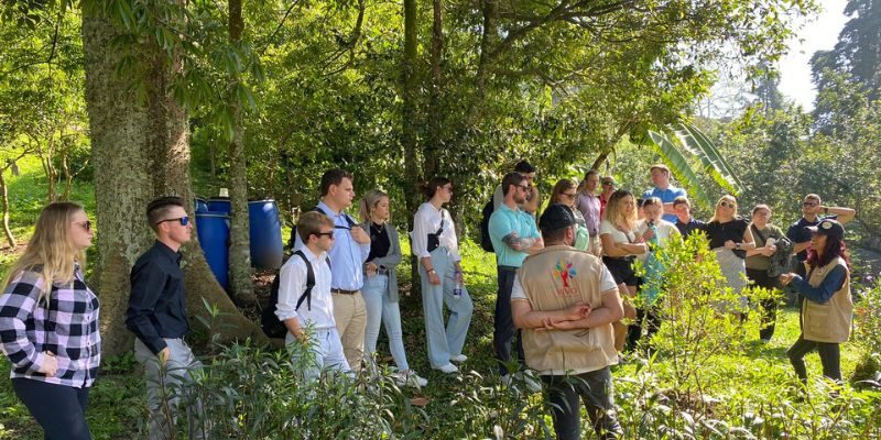 Diseño sin título - 2023-06-01T094420.806