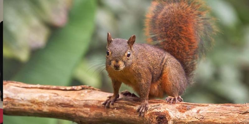 Diseño sin título - 2023-06-08T122340.541