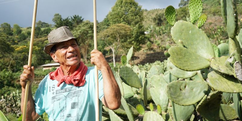 Diseño sin título - 2023-06-09T100624.511