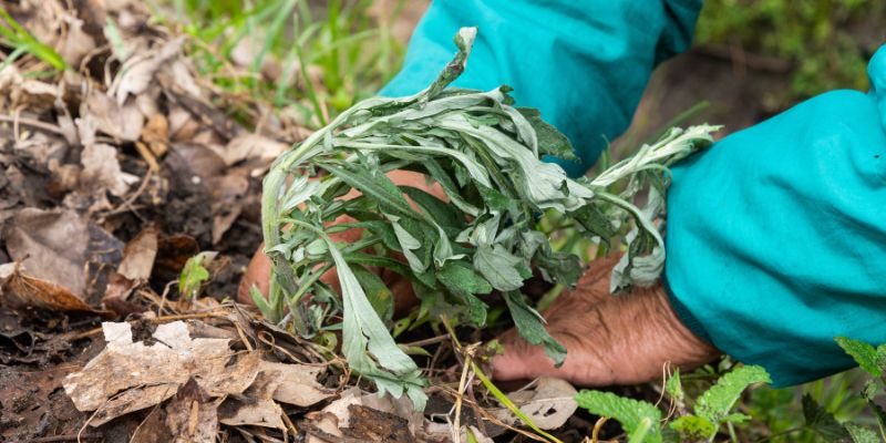 Diseño sin título - 2023-07-11T093029.114