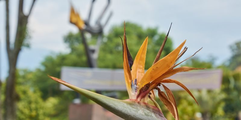 Diseño sin título - 2023-08-09T141400.545