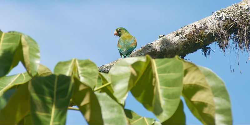 Universidad de Medellín