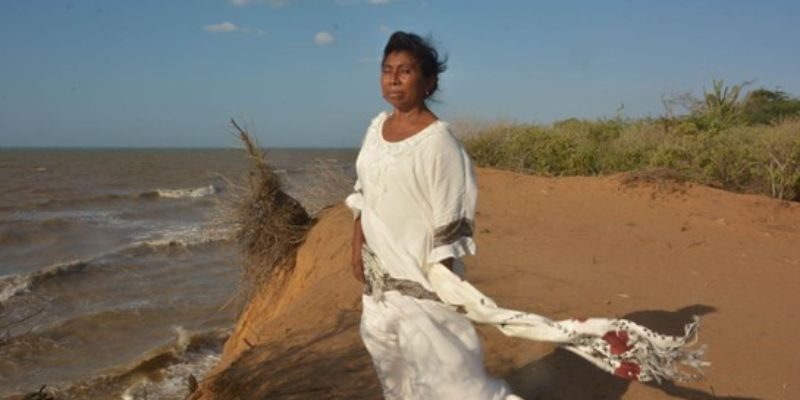 Investigación Universidad de Medellín