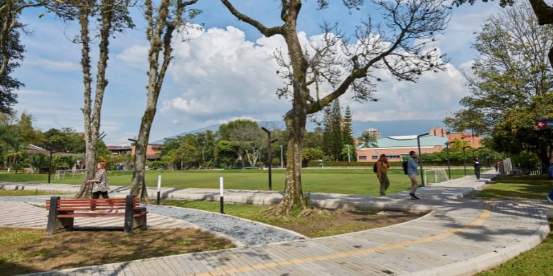 Universidad de Medellín