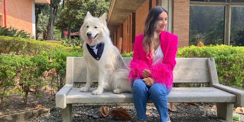 Diseño sin título - 2024-03-08T102804.358