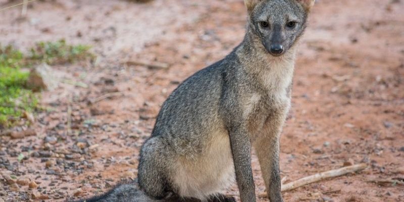 Diseño sin título (22)