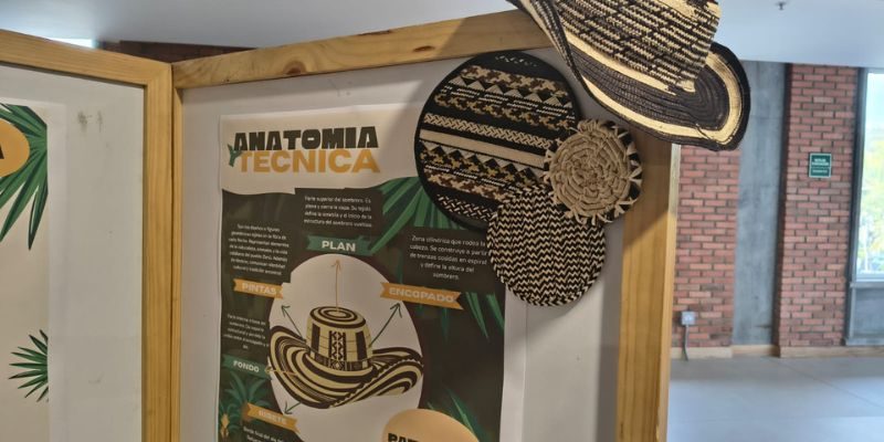 Diseño Universidad de Medellín