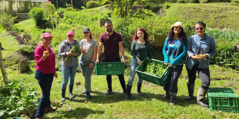 Diseño sin título (48)