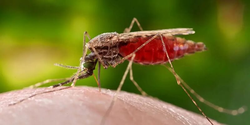 Investigación Universidad de Medellín