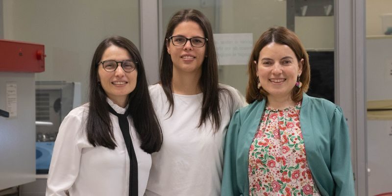 Diseño sin título (65)