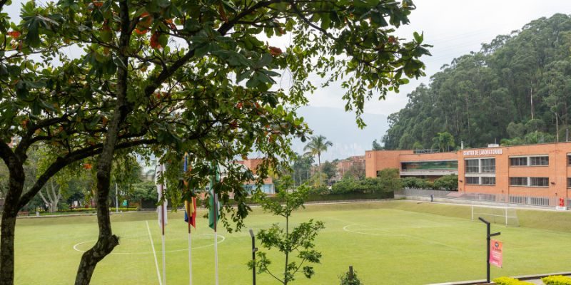 Diseño sin título (8)