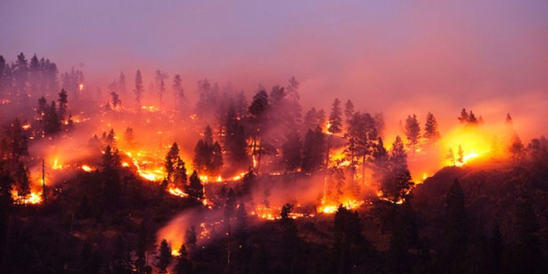 Diseño sin título (87)