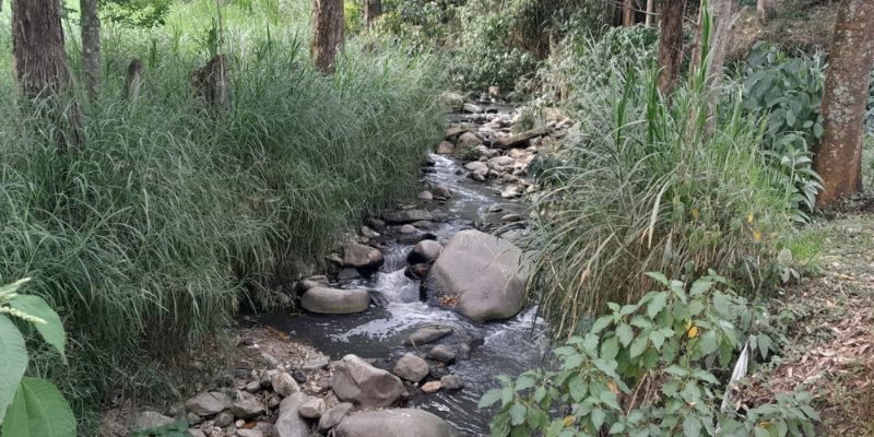 Investigación Universidad de Medellín