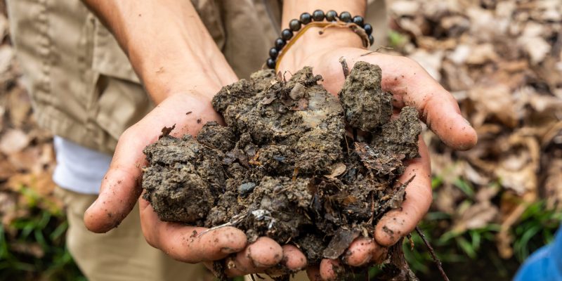 VISITA-COMUNIDAD-INDIGENA-7