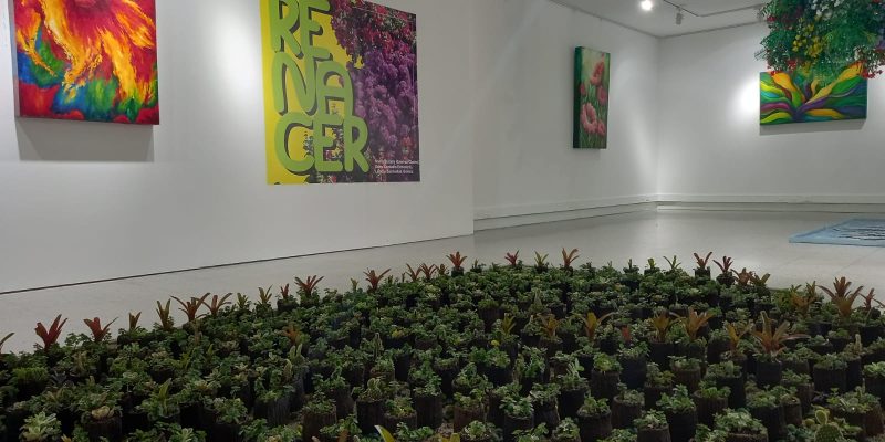 exposición de la feria de las flores 2021