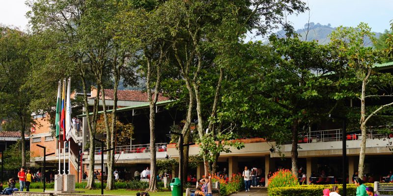 71 años de historia