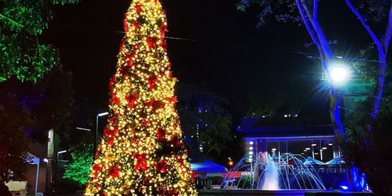 navidad_udemedellin_2019_15