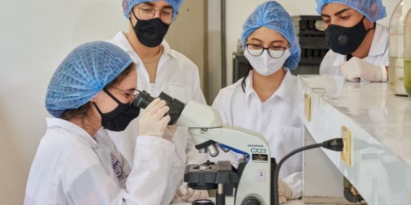 Semilleros de Investigación Universidad de Medellín